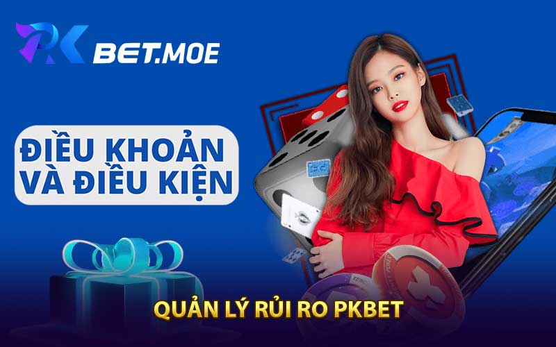 Quản lý rủi ro trong phần điều khoản